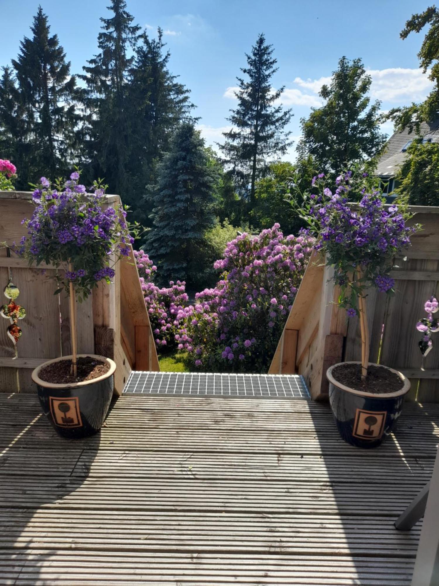 Tante Hanna Winterberg Bagian luar foto